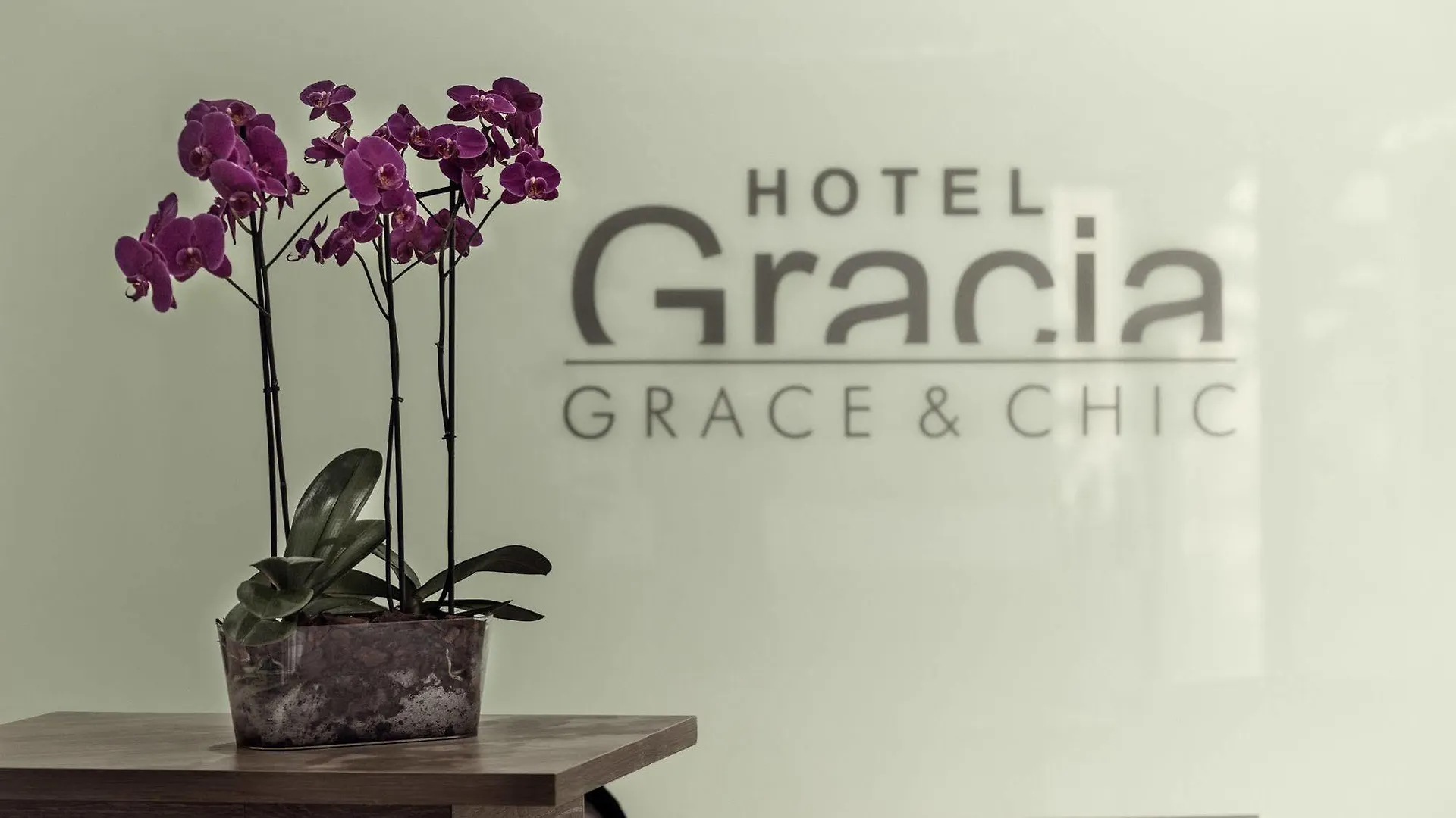 ***  Hotel Gracia El Arenal  Espanha